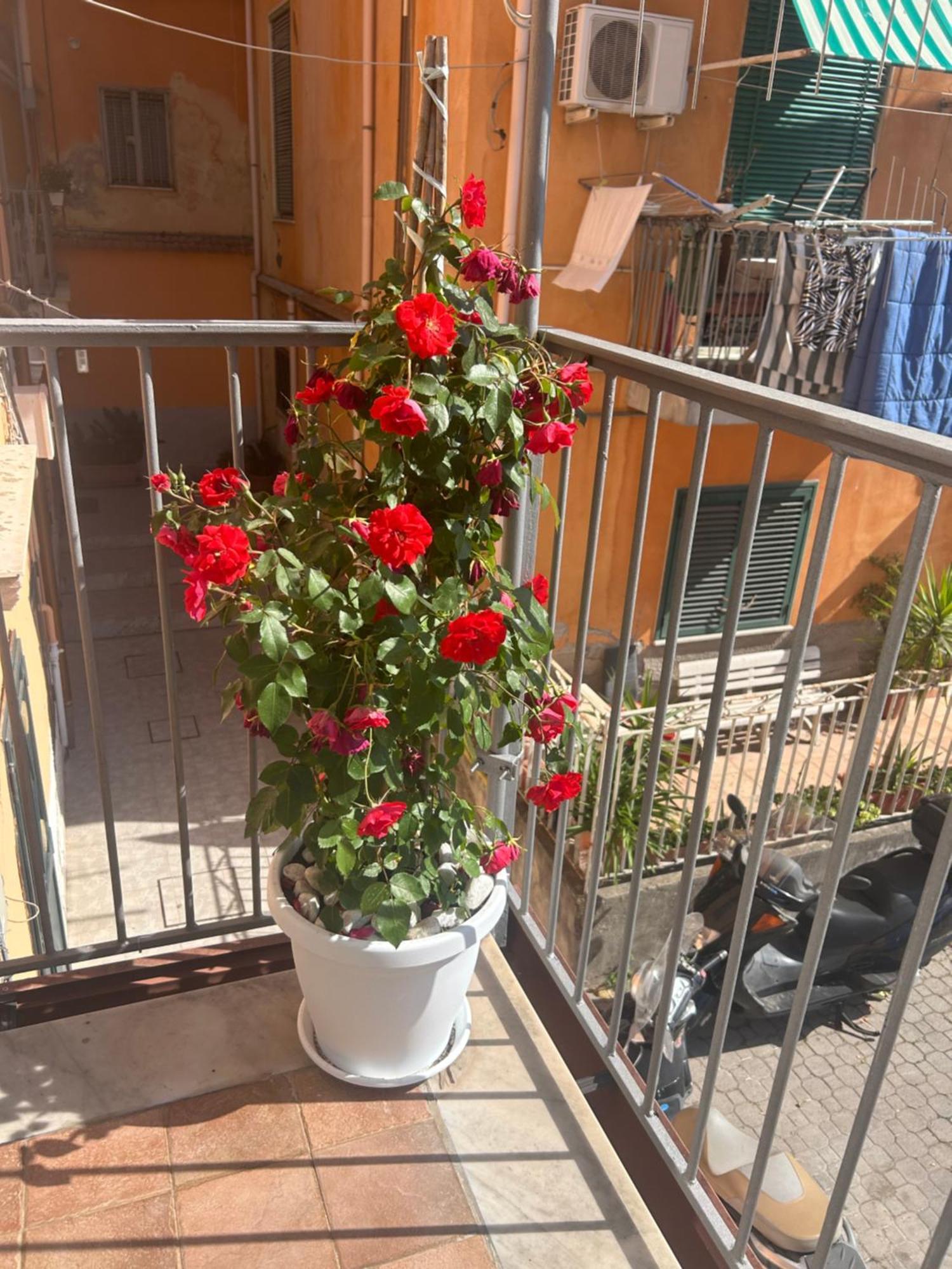 Sissi House Salerno Apartment Luaran gambar