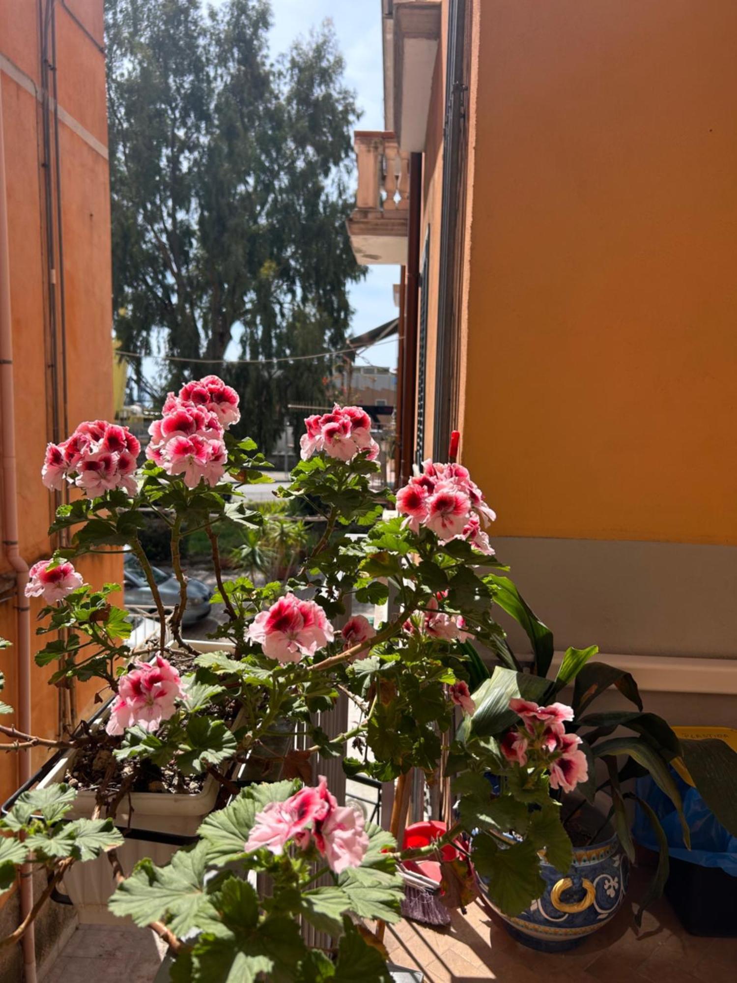 Sissi House Salerno Apartment Luaran gambar